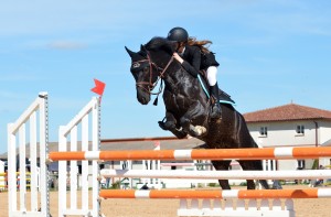 equitation osteo osteopathe epone seine meziere gargenville porcheville aubergenville elisabethville flins